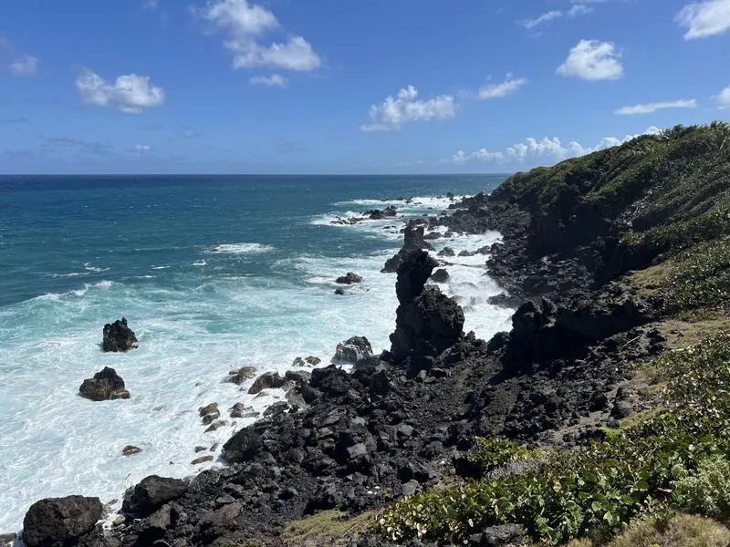 Black volcanic rock formations meeting the Atlantic Ocean at Black Rocks on the northern coast of St. Kitts.
