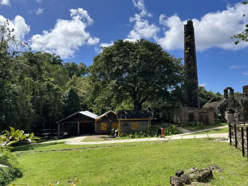 Stone ruins and tropical vegetation at Wingfield Estate in St. Kitts, a surviving part of the island's former sugar landscape.