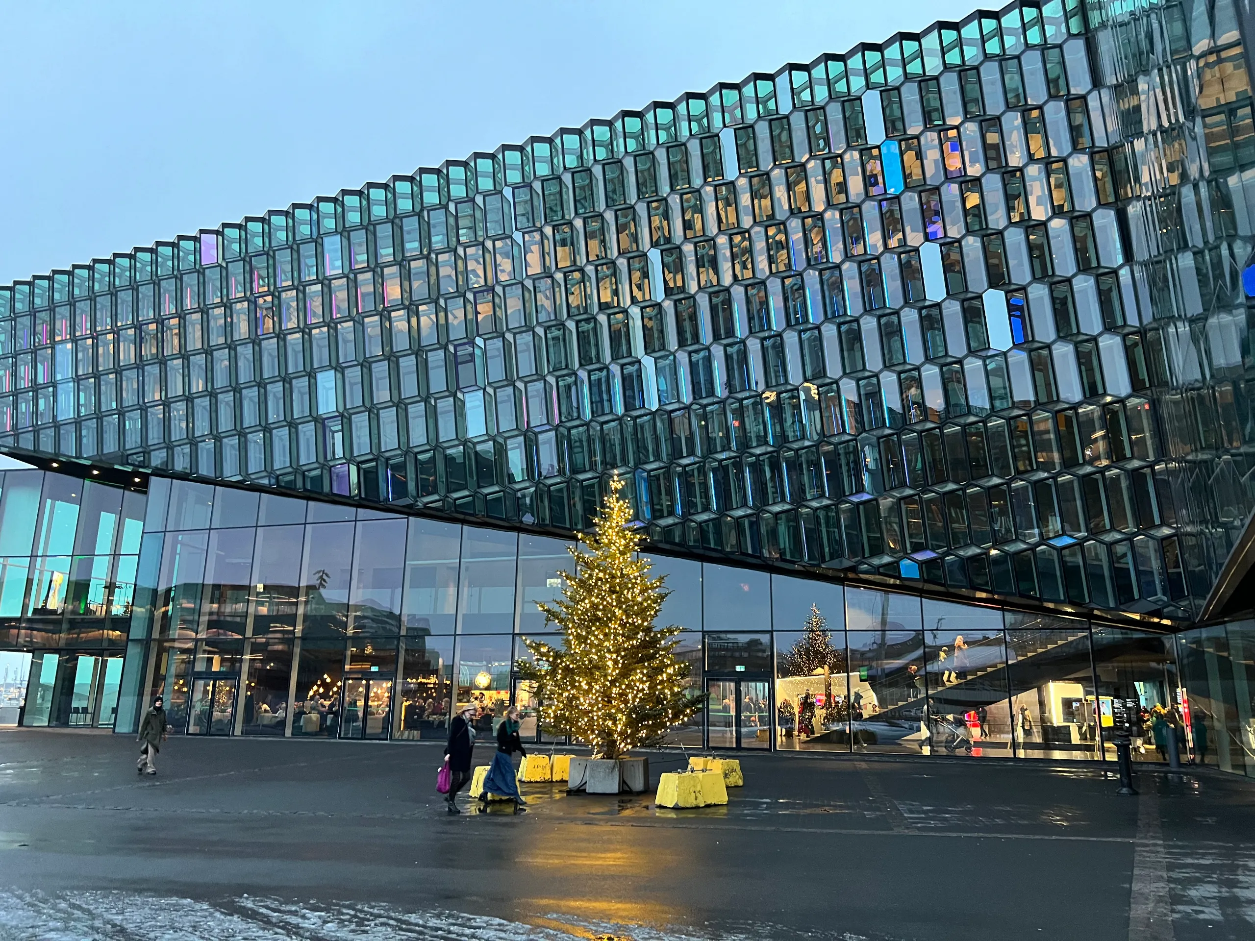 Harpa concert hall with its glass facade and a decorated Christmas tree in Reykjavík.