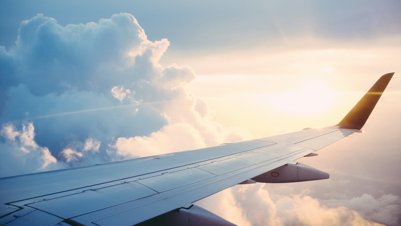 Basic Economy, Main Cabin, or Premium Economy: Where Is the Value?