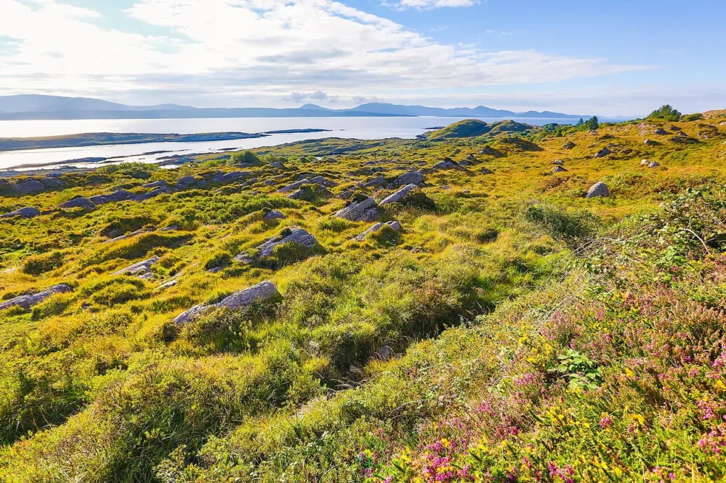 Coastal landscape along the Ring of Kerry, Ireland